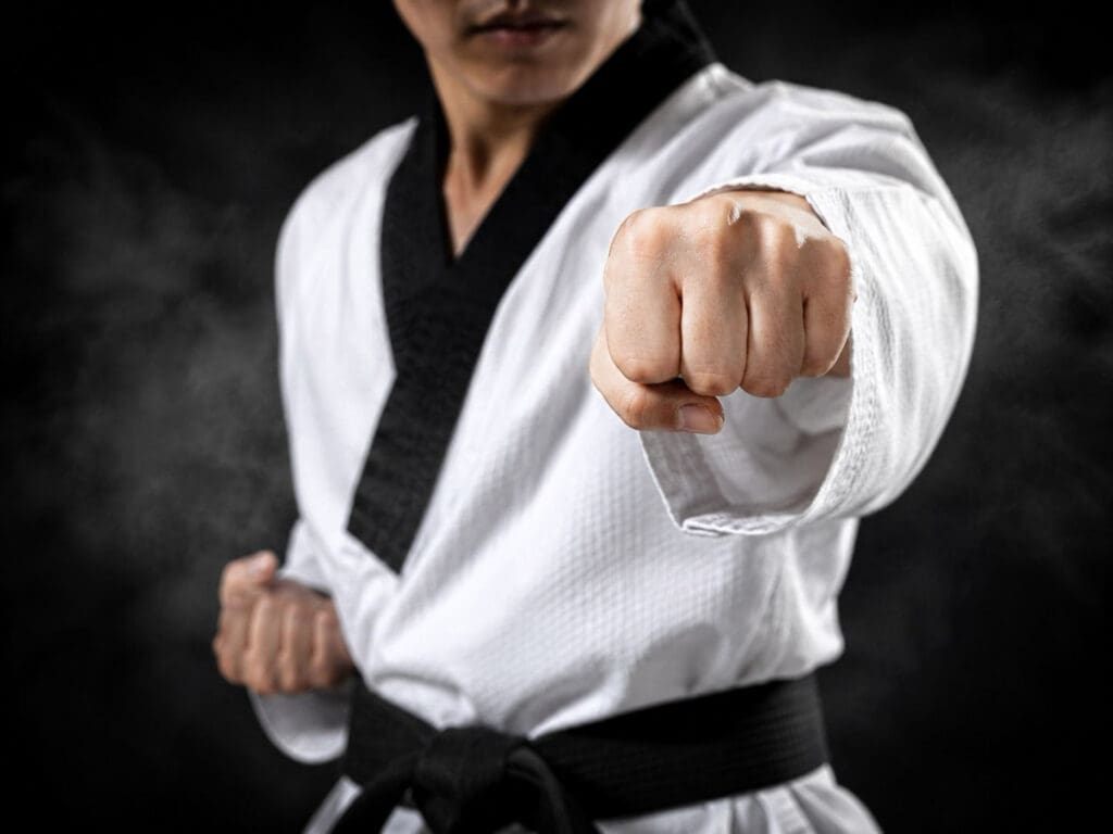 Martial Arts School Near Me in Bradenton | Kaizen Dojo Martial Arts